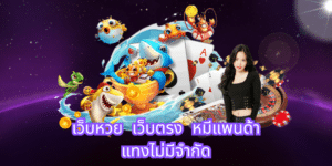 เว็บหวย เว็บตรง หมีแพนด้า แทงไม่มีจำกัดhihuaypanda